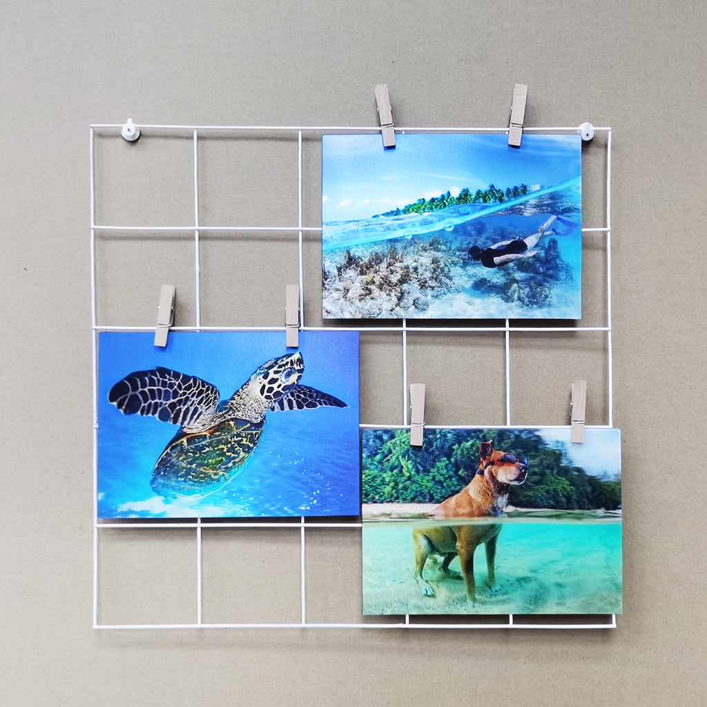1pc Grid Panel Wall-mounted Storage Shelf, Adhesive, Cute And