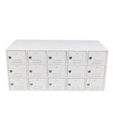 31X14X14" Secure Metal Locker Cabinet Storage Organizer 5X4X13" 15-Slot Cubby 300000