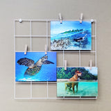 4 Pack 12X12" Wire Gridwall Photo Holder Panels Organizer Hang Picture Nail Pin 10148-WHITE