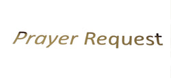 Gold Sticker with "Prayer Requests", Great for Donation Box, Fundraising Box, Charity Box, Ballot Bo