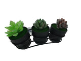 Window Mount Succulent Planter Holder 11x4x1.6"  21660