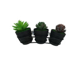 Window Mount Succulent Planter Holder 11x4x1.6"  21660